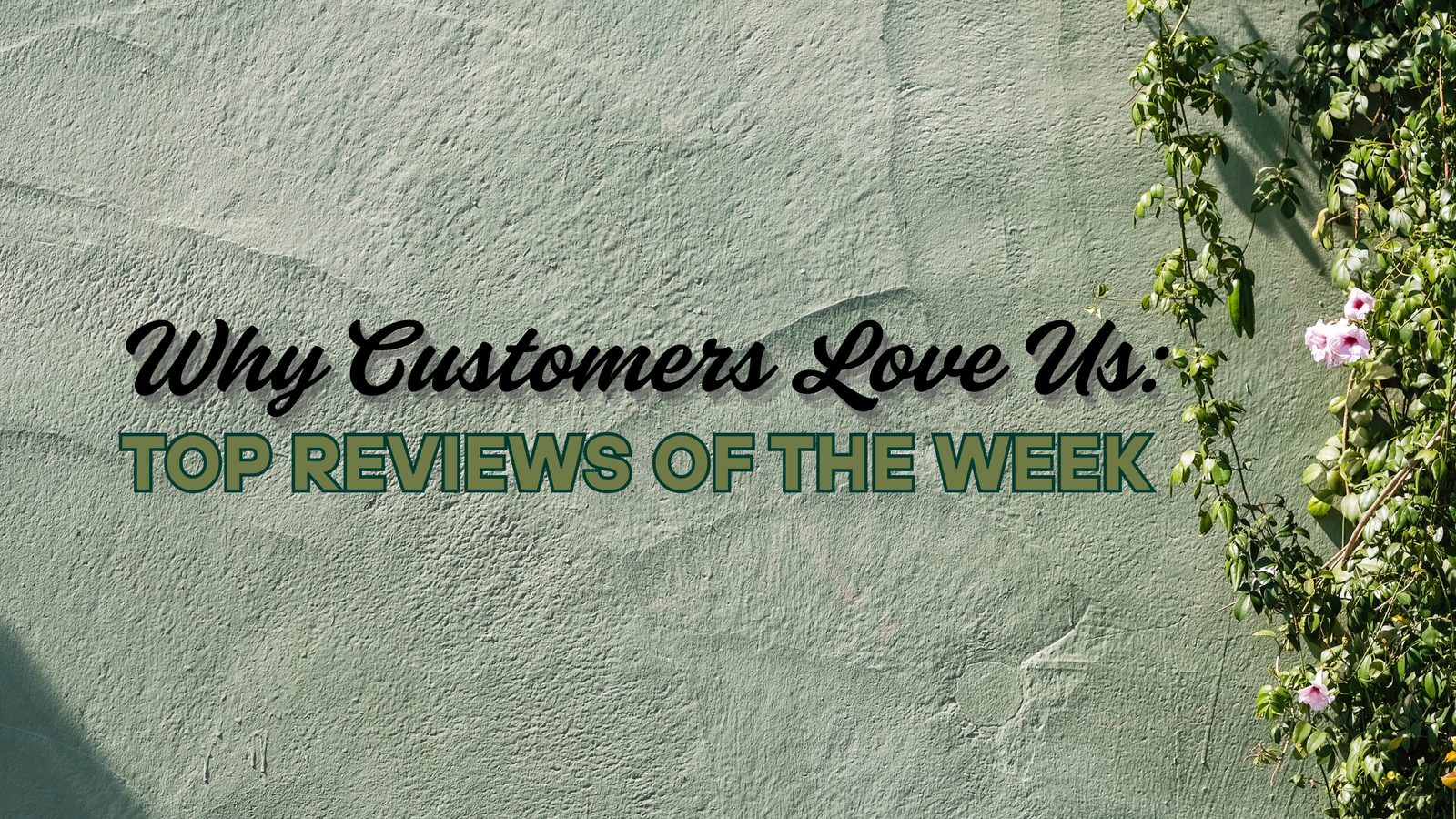 Why Customers Love Us: Top Reviews of the Week